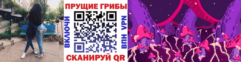 Купить Гремячинск Псилоцибиновые грибы Psilocybine cubensis